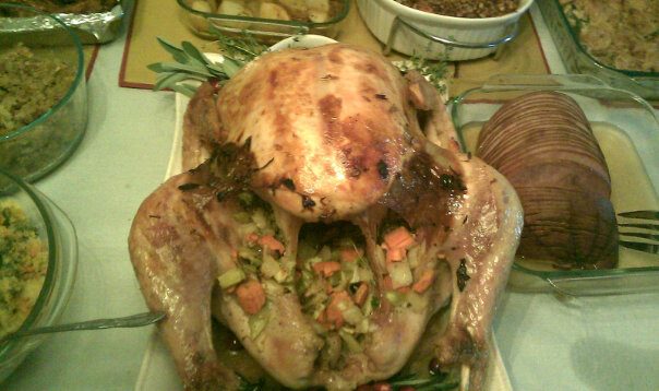 Baked my first Turkey