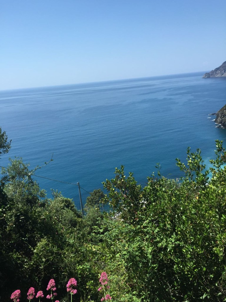 1FTtravel Cinque Terre Hiking Tour Levanto – Liguria, May 17, 2015 – 19 of 37