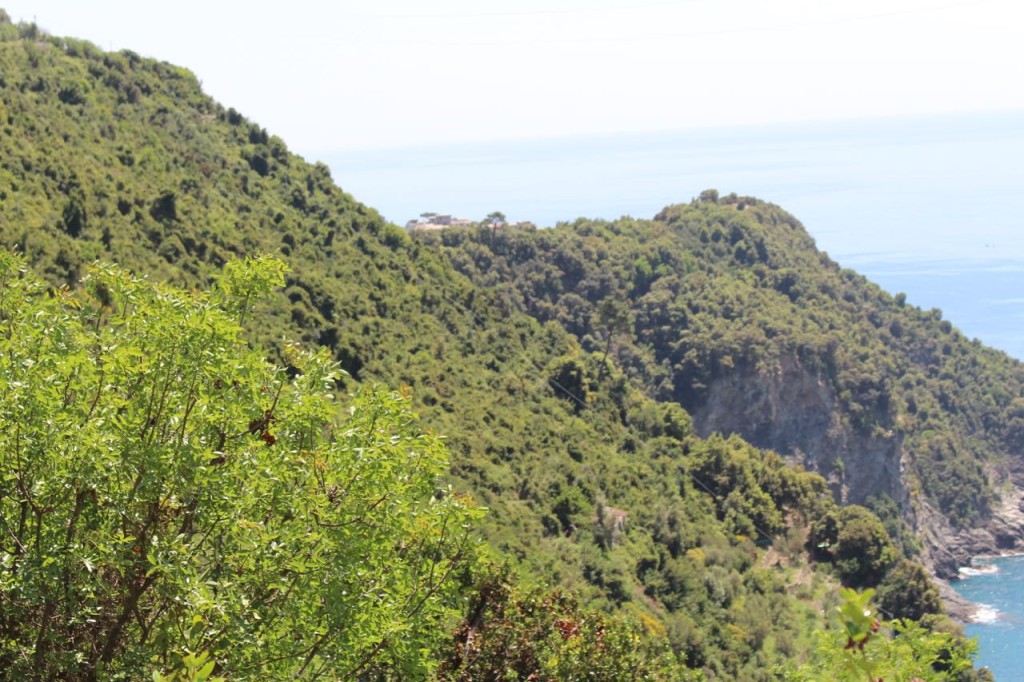 1FTtravel Cinque Terre Hiking Tour Levanto – Liguria, May 17, 2015 – 20 of 37